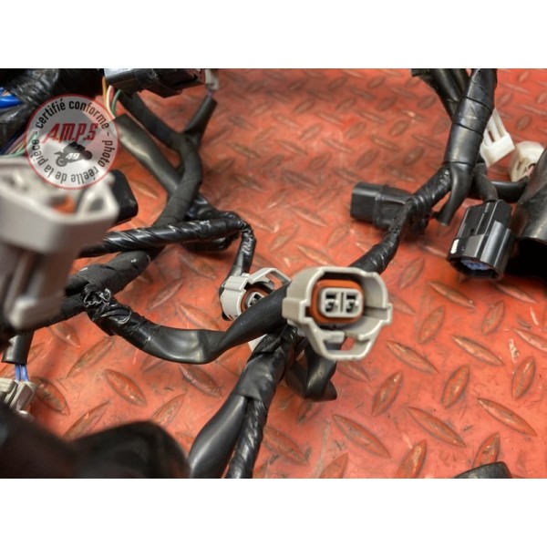 Faisceau électrique principale 