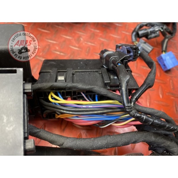 Faisceau électrique principale 2 