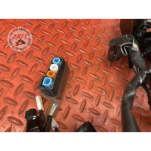 Faisceau électrique principale 2 