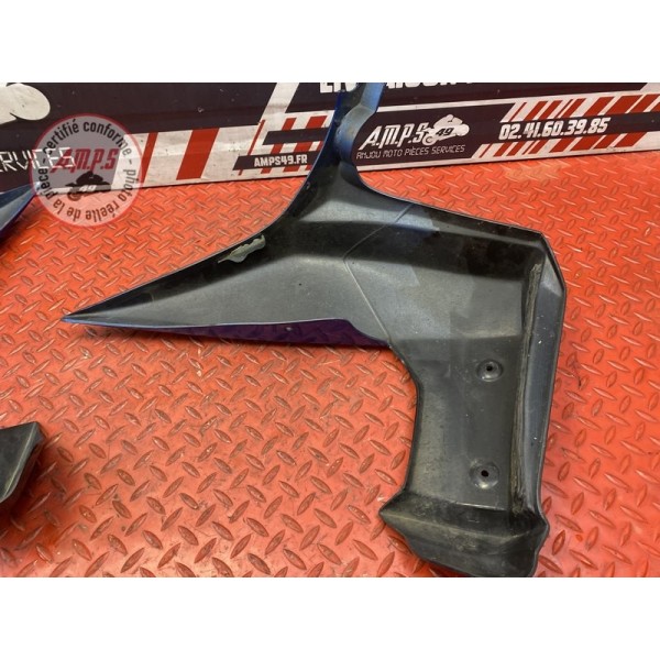 Paire d'écope de radiateur 