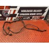 Cable de masse 