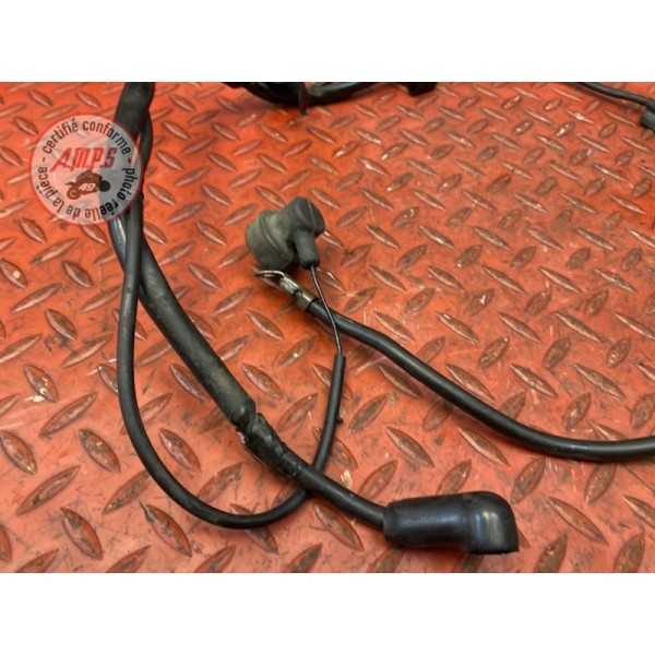 Cable de masse 