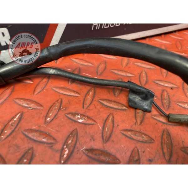 Cable de masse 