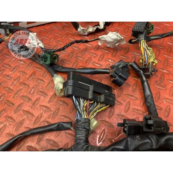 Faisceau électrique principale 