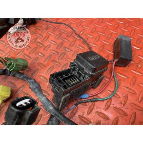 Faisceau électrique principale 