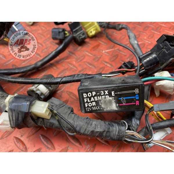 Faisceau électrique principale 