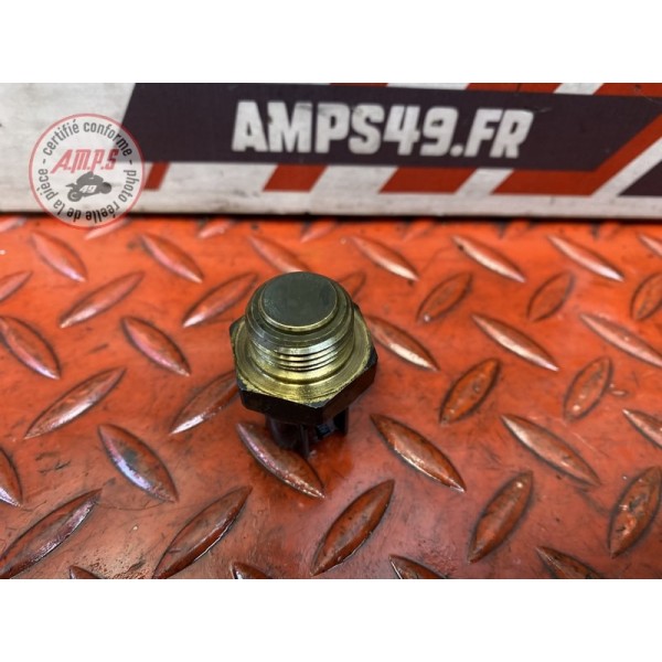 Sonde de radiateur d'eau 