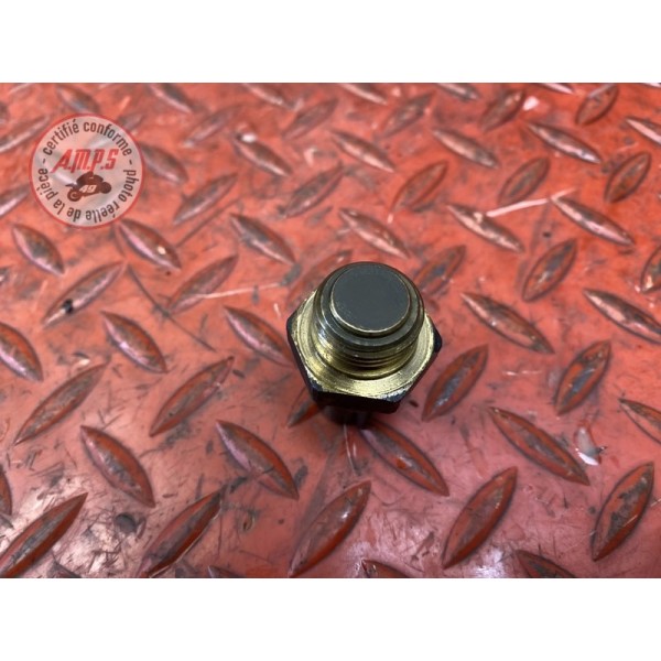 Sonde de radiateur d'eau 