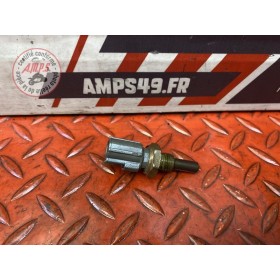 Sonde de température d'eau 