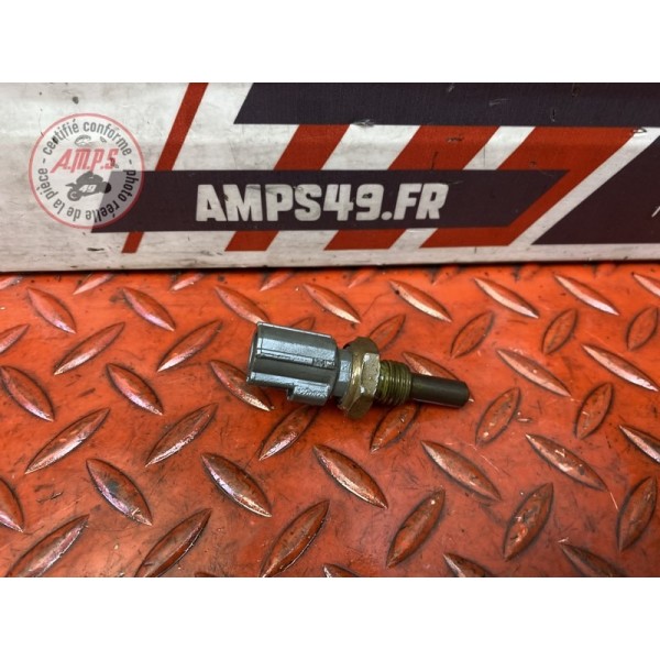 Sonde de température d'eau 