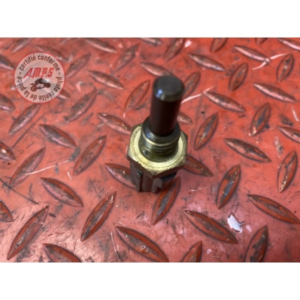 Sonde de température d'eau 