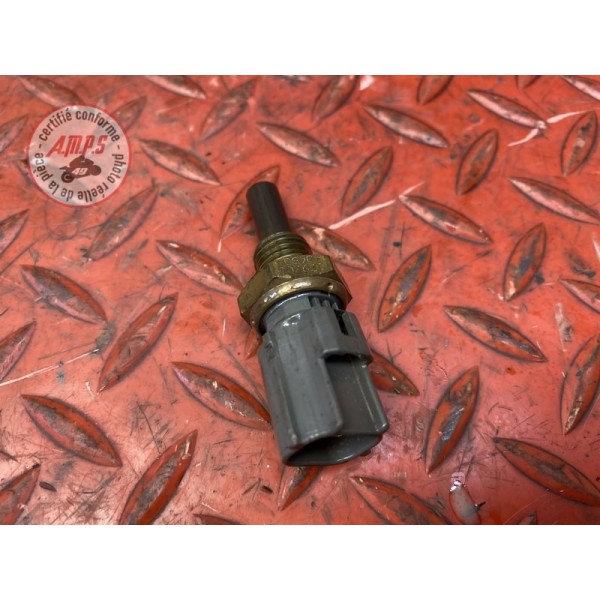 Sonde de température d'eau 