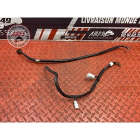 Cable de masse 