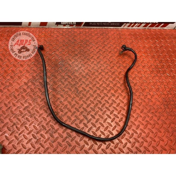 Cable de batterie 
