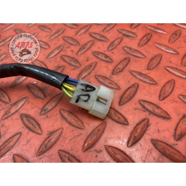 Faisceau électrique arrière 