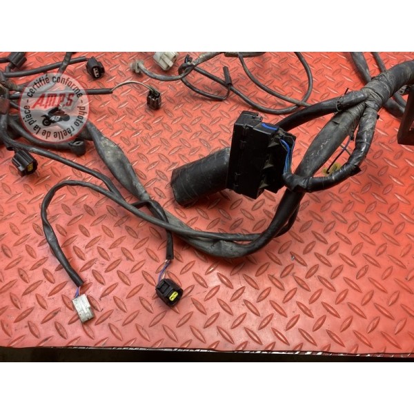 Faisceau électrique principale 