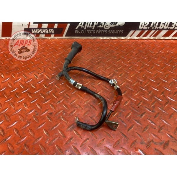 Cable de batterie 