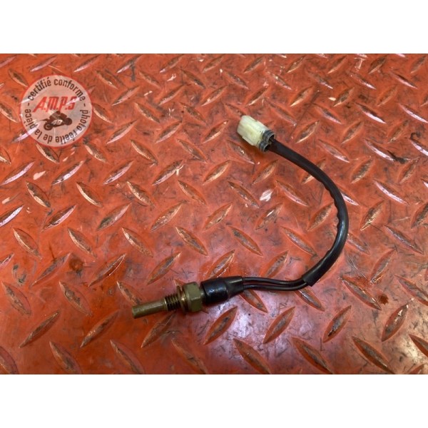 Sonde de température d'eau 