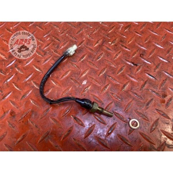 Sonde de température d'eau 