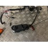Faisceau électrique principale 