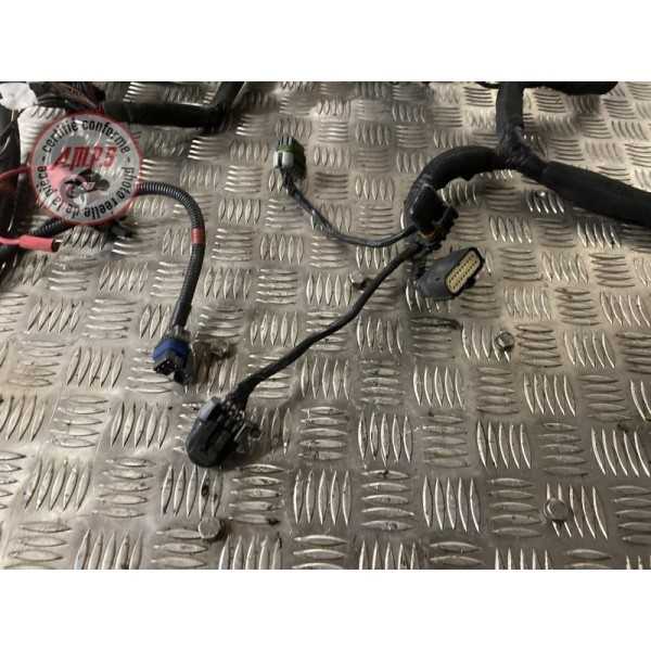 Faisceau électrique principale 