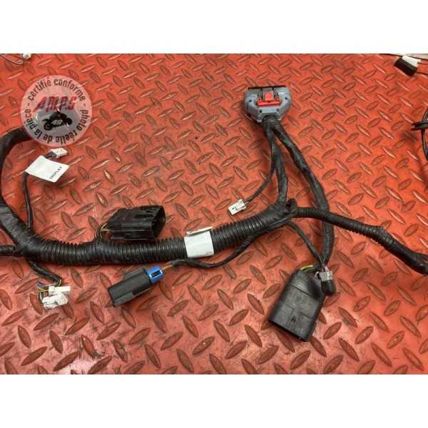 Faisceau électrique avant 