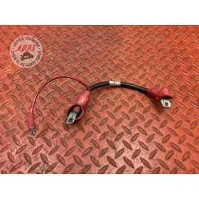 Cable batterie 
