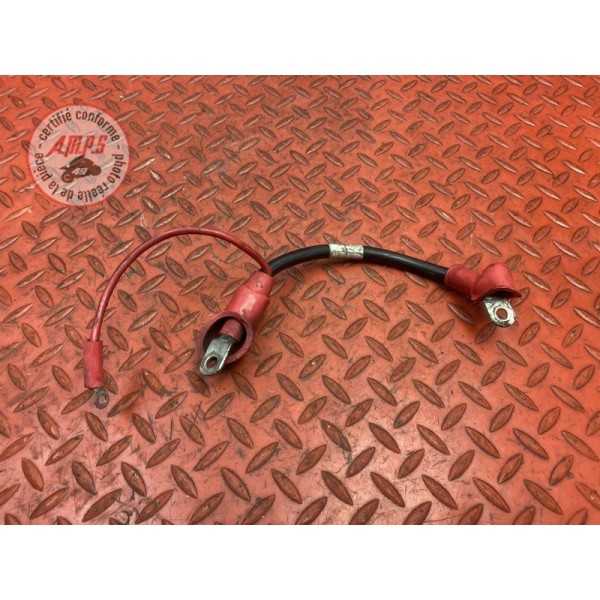 Cable batterie 