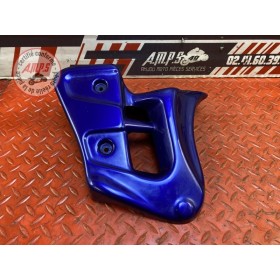 Ecope de radiateur gauche 