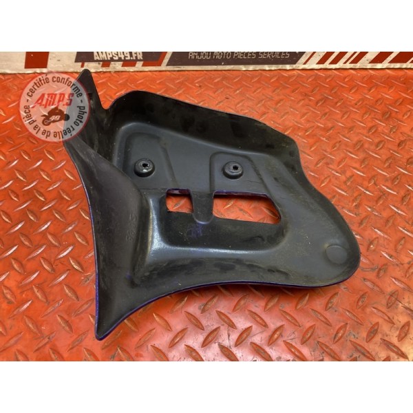 Ecope de radiateur gauche 