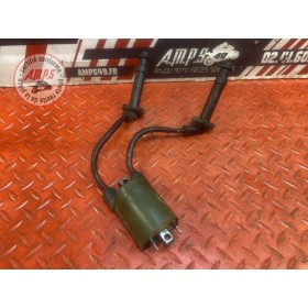 Bobine d'allumage 2-3 