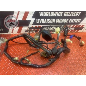 Faisceau électrique principale 