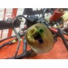 Faisceau électrique principale