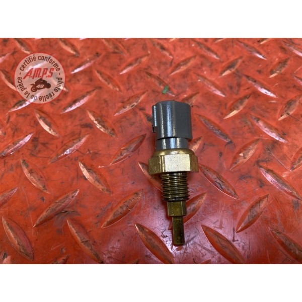 Sonde de température d'eau 