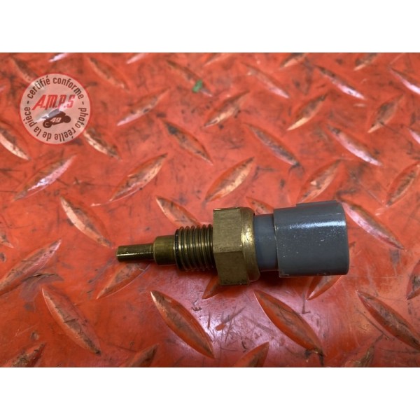 Sonde de température d'eau 