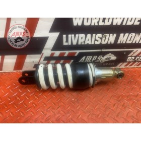 Amortisseur arrière 