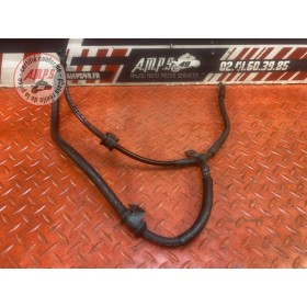 Durite de frein avant 