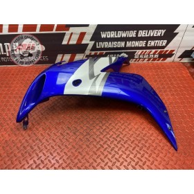 Flanc de carénage gauche 