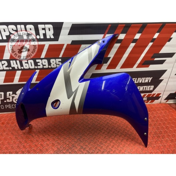 Flanc de carénage gauche 