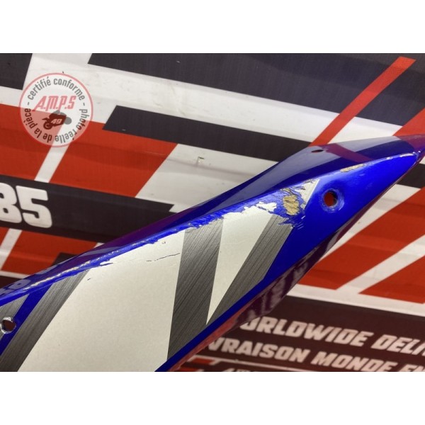 Flanc de carénage gauche 