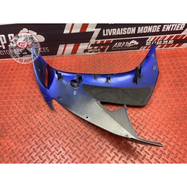 Flanc de carénage gauche 