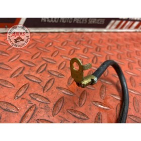 Cable de batterie 