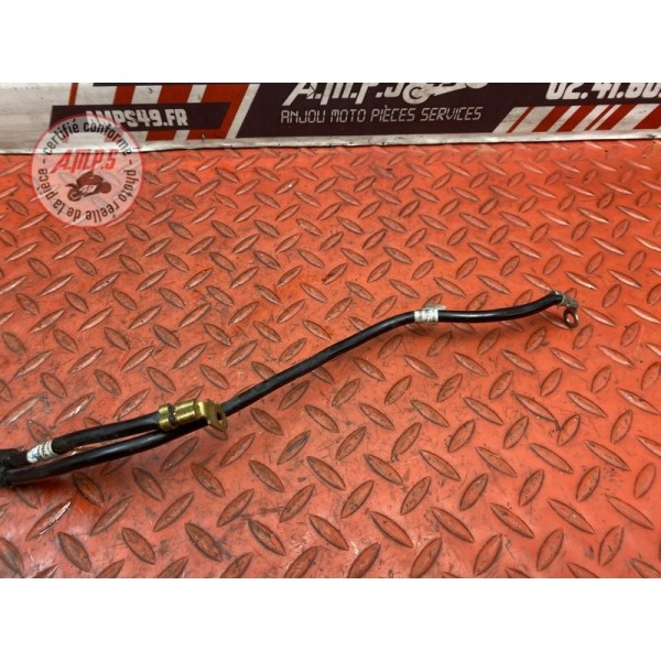 Cable de masse 