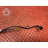 Cable de masse
