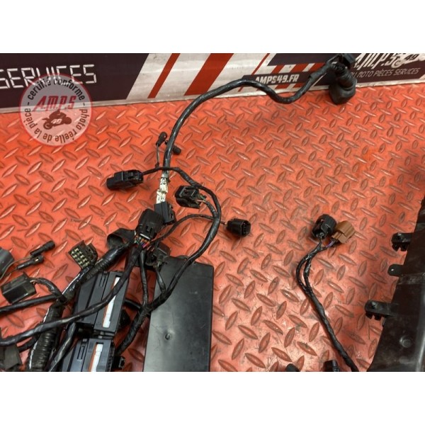Faisceau électrique principale 