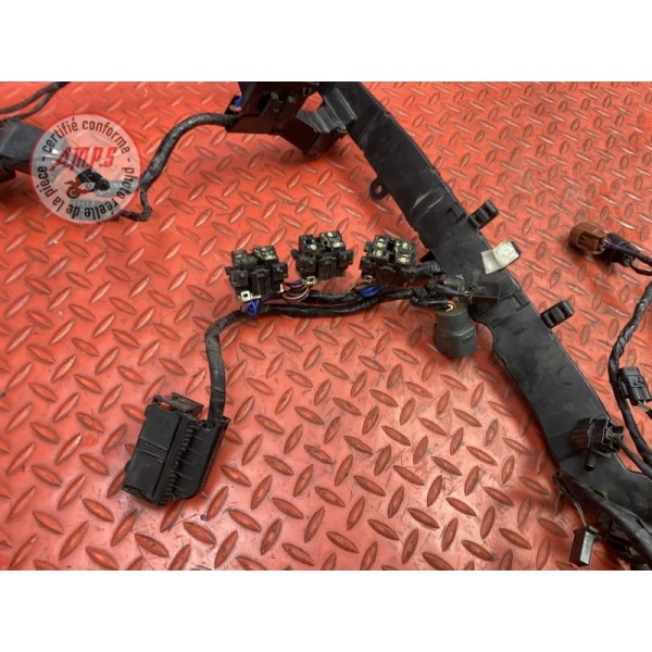 Faisceau électrique principale 