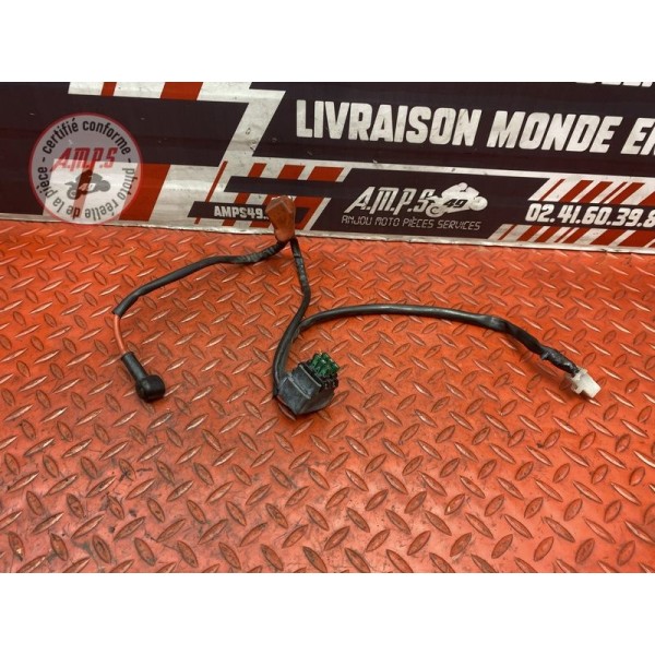 Cable de batterie 
