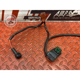 Cable de batterie 
