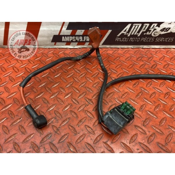 Cable de batterie 