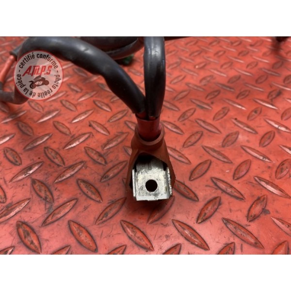 Cable de batterie 